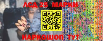 стафф Донецк