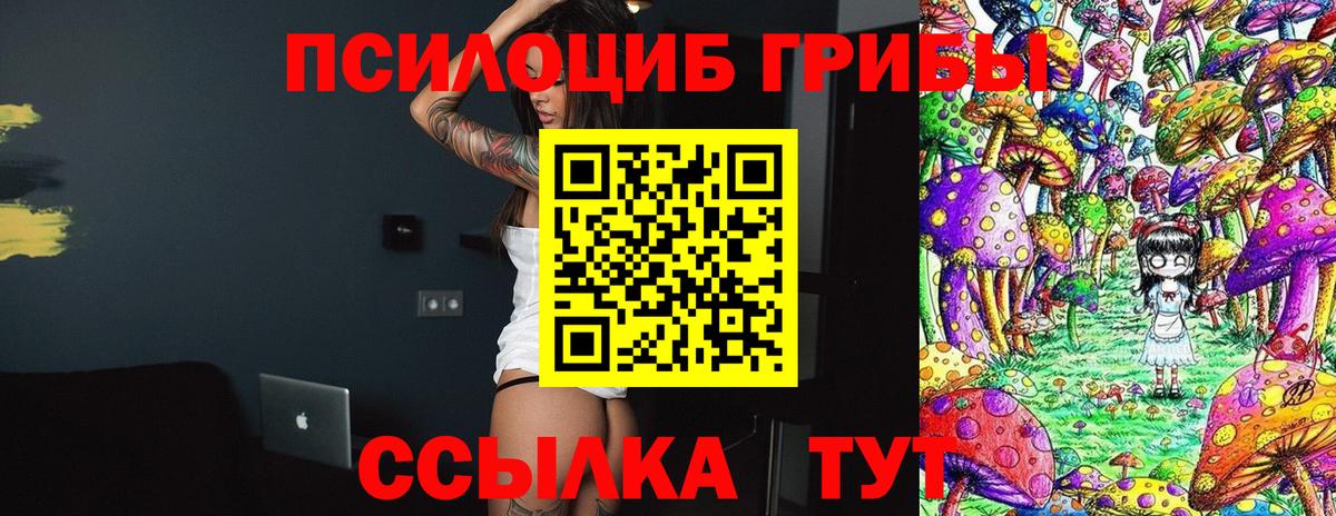 Псилоцибиновые грибы Magic Shrooms Тула