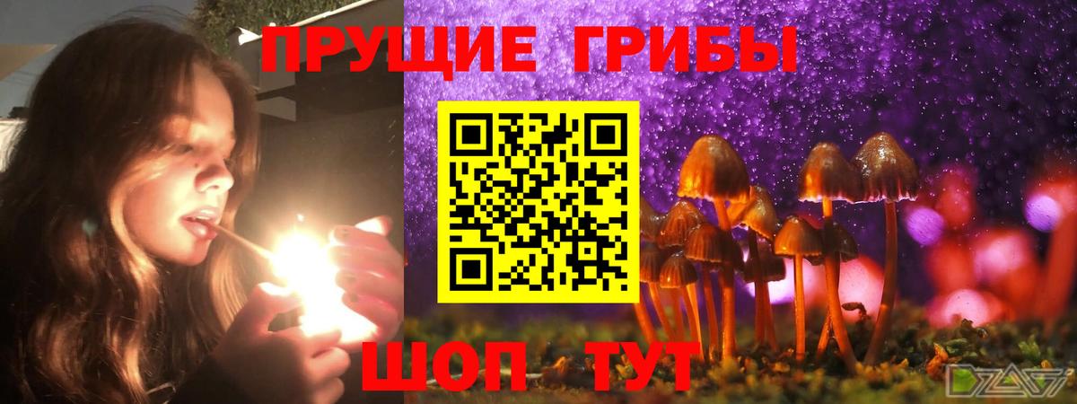 Тула  цена   Вход с VPN  Псилоцибиновые грибы ЛСД 